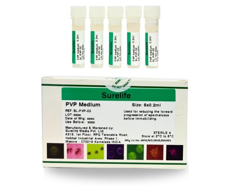 WhatsApp Image 2026-01-23 at 3.16.54 PM (1)