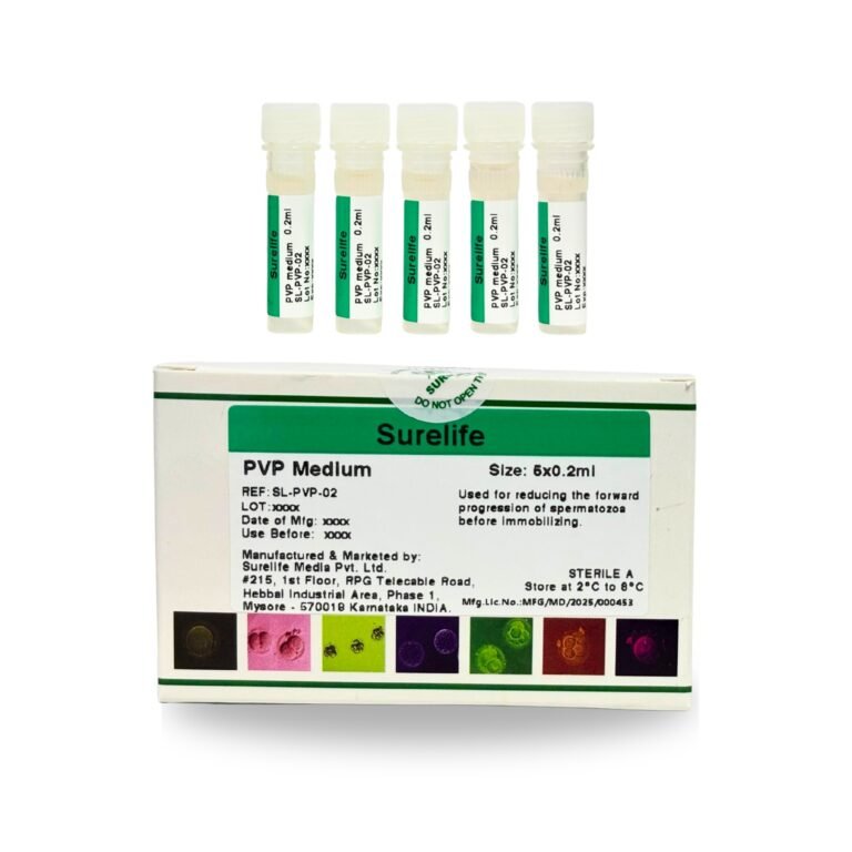 WhatsApp Image 2026-01-23 at 3.16.54 PM (1)