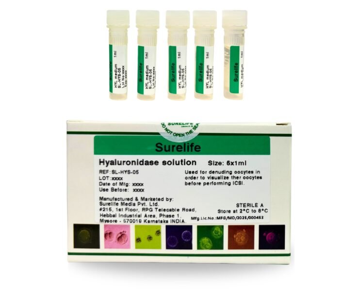 WhatsApp Image 2026-01-23 at 3.16.54 PM