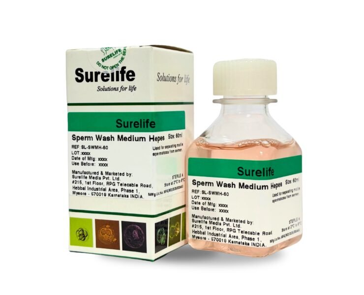 WhatsApp-Image-2026-01-23-at-3.16.51-PM-1