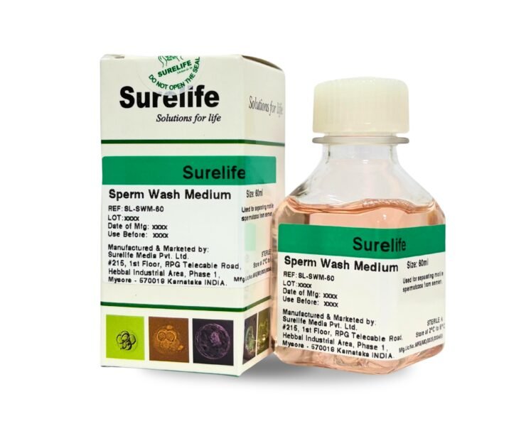 WhatsApp-Image-2026-01-23-at-3.16.51-PM-2