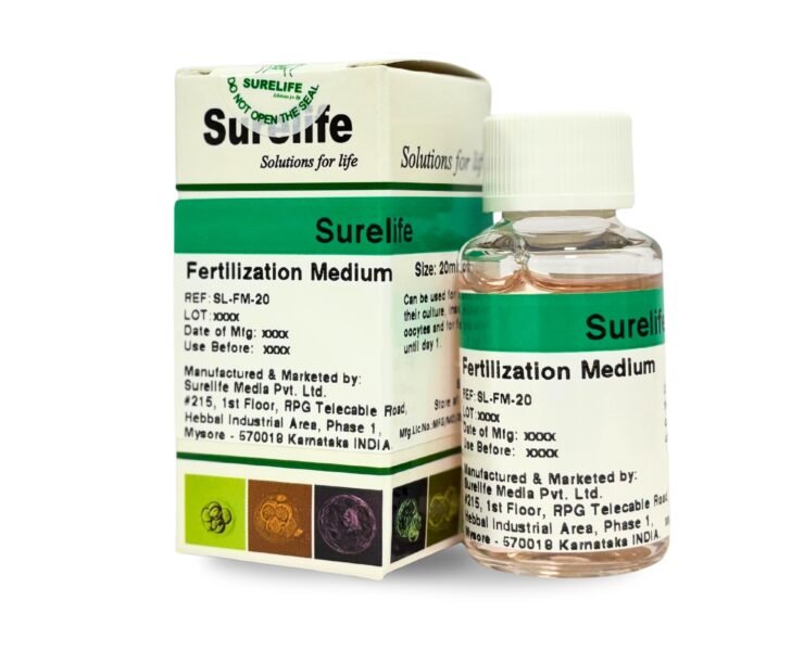 WhatsApp-Image-2026-01-23-at-3.16.52-PM-1-1