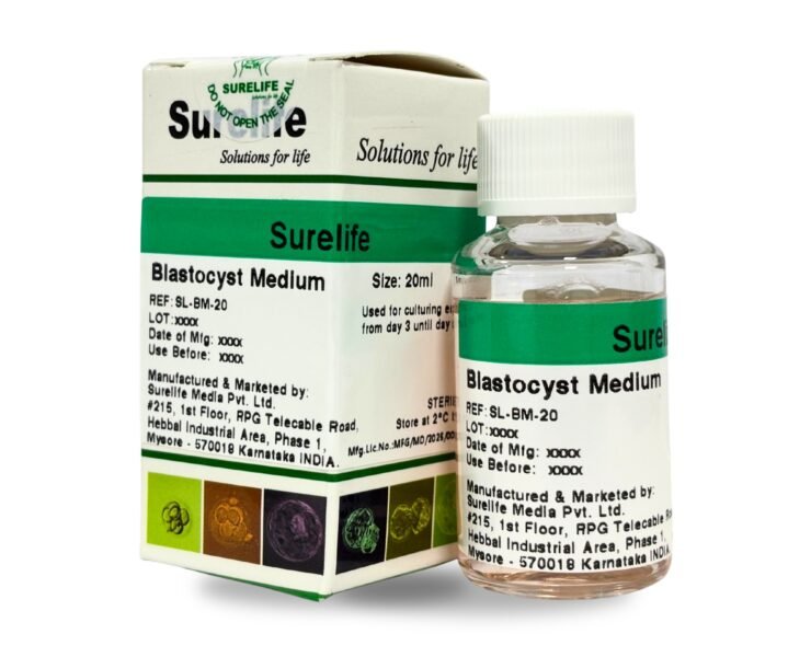 WhatsApp-Image-2026-01-23-at-3.16.53-PM-1