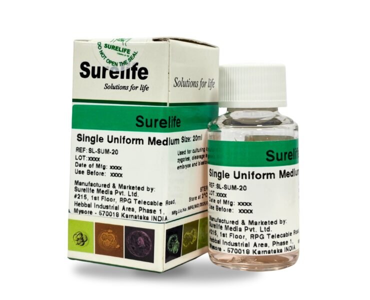 WhatsApp-Image-2026-01-23-at-3.16.53-PM