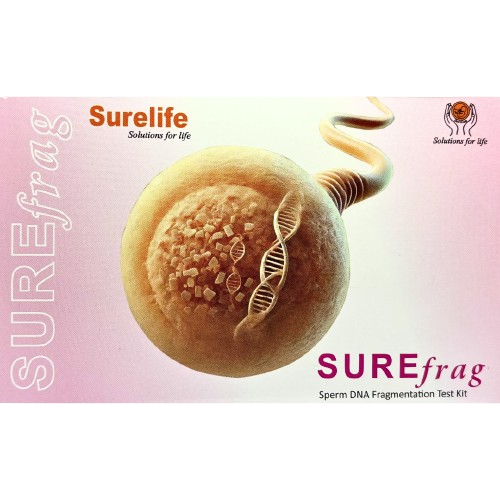 Untitled_design__10___1_-removebg-preview