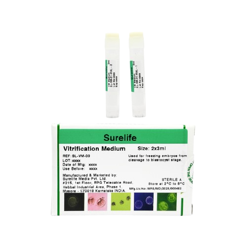 Untitled_design__11_-removebg-preview