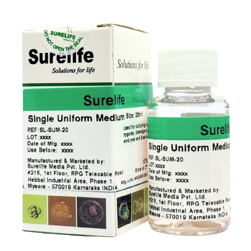 Untitled_design__8_-removebg-preview