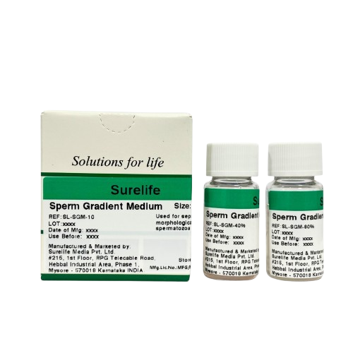 WhatsApp-Image-2026-01-23-at-3.16.55-PM-2__1_-removebg-preview